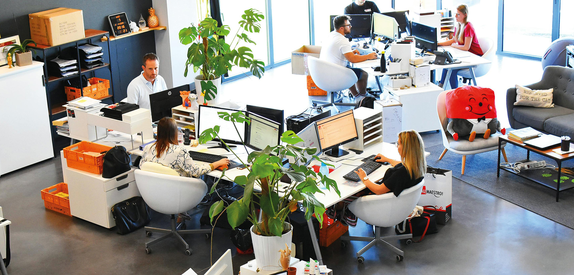 Mobile App Development
